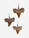 Кулон «Зуб акулы» (Cretalamna biauriculata), 1,5-2 см, 40-81, фото 2