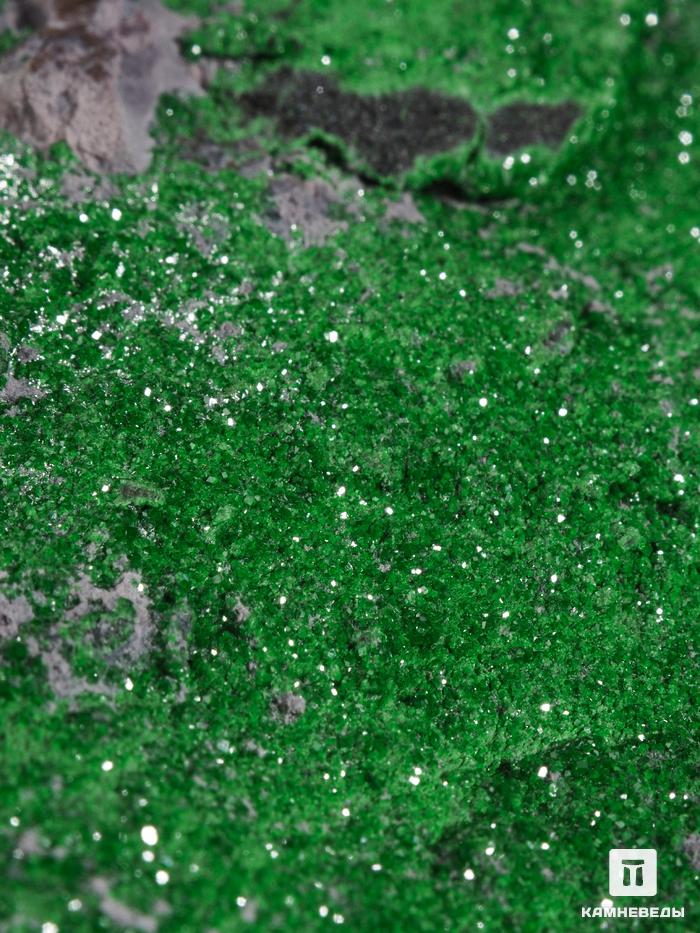 Уваровит (зелёный гранат), 18,5х10,5х8 см, 16330, фото 4