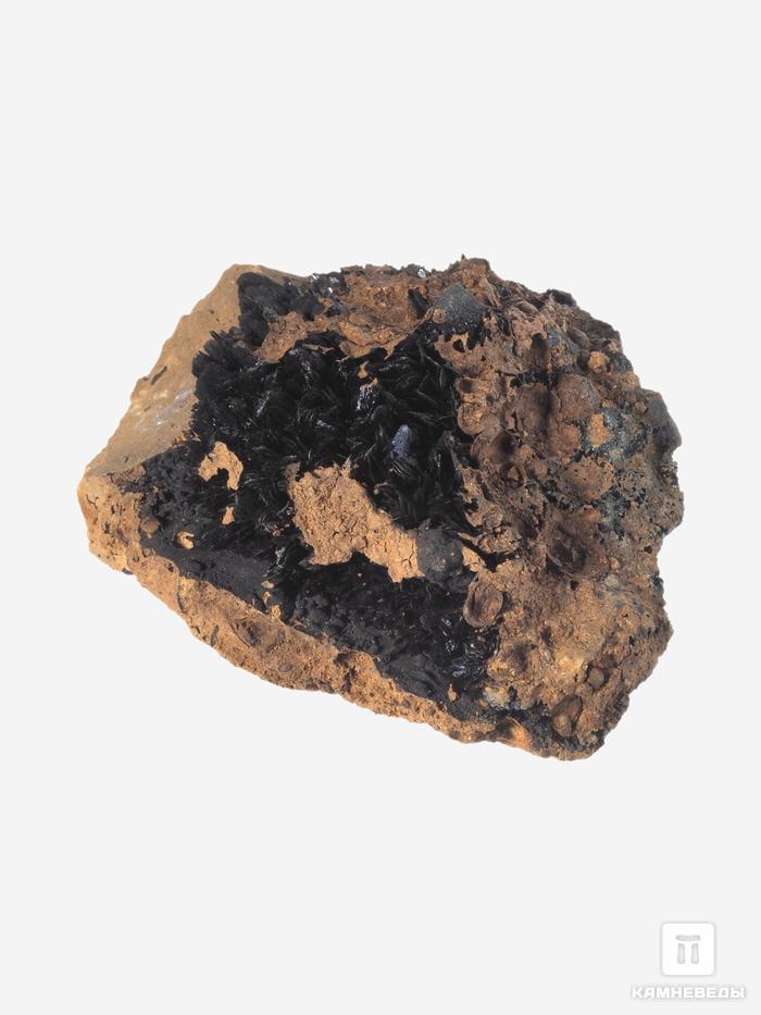 Вивианит на лимоните, 11х8,5х5,5 см, 17158, фото 2