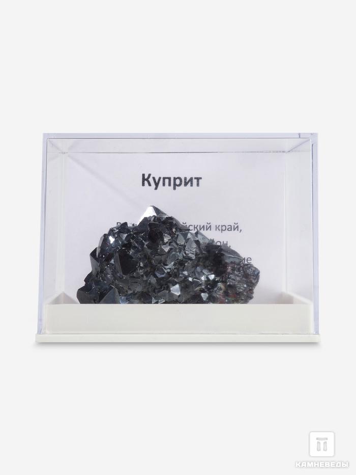 Куприт, сросток кристаллов в пластиковом боксе 5,5х4х3,4 см, 10-19, фото 3