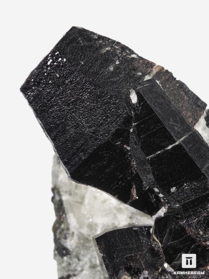 Флогопит с диопсидом и кальцитом, 6,4х6х5,4 см, 10-207/5, фото 4