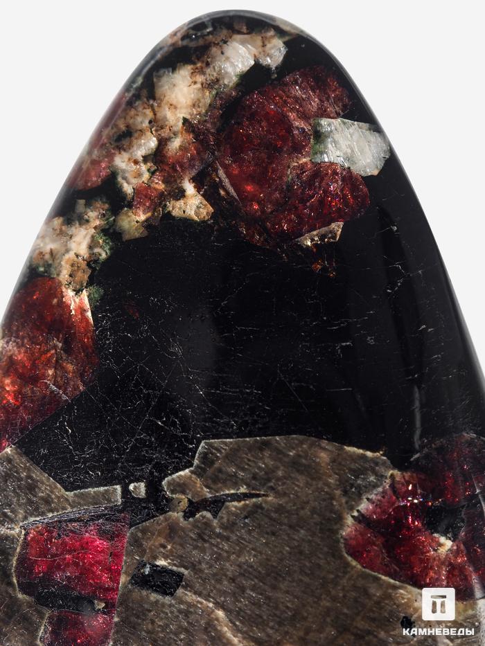 Дельхайелит с эгирином, полированная галька 9х4,4х1,8 см, 10-134/7, фото 3