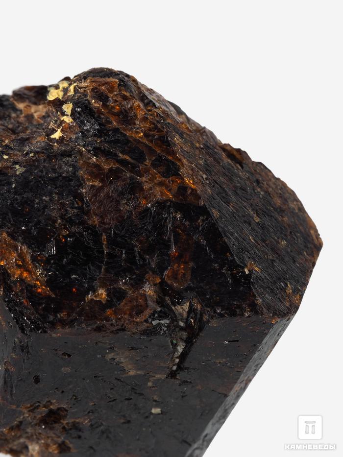 Дравит (турмалин), кристалл двухголовик 4,5х3,6х3,6 см, 10-33/13, фото 1