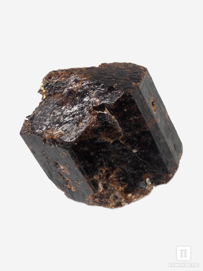 Дравит (турмалин), кристалл двухголовик 4,5х3,6х3,6 см, 10-33/13, фото 2