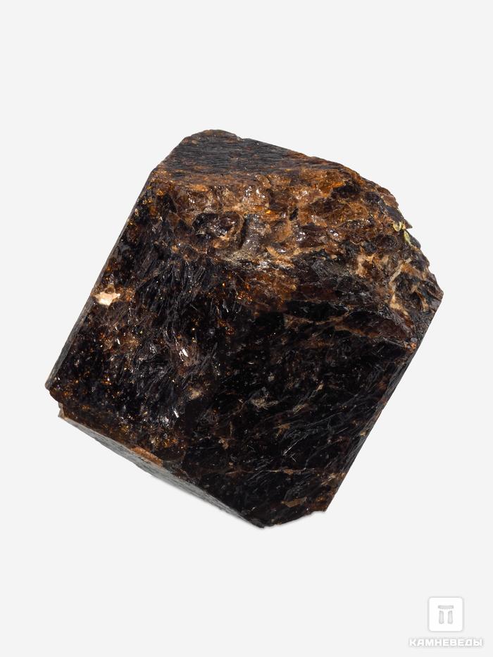 Дравит (турмалин), кристалл двухголовик 4,5х3,6х3,6 см, 10-33/13, фото 3