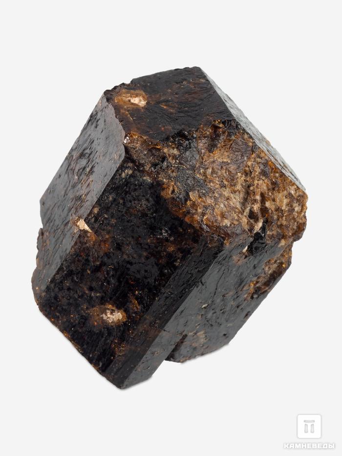 Дравит (турмалин), кристалл двухголовик 4,5х3,6х3,6 см, 10-33/13, фото 4