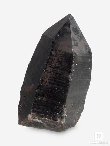 Морион (чёрный кварц). Морион, кристалл 11,8х7,6х6,5 см
