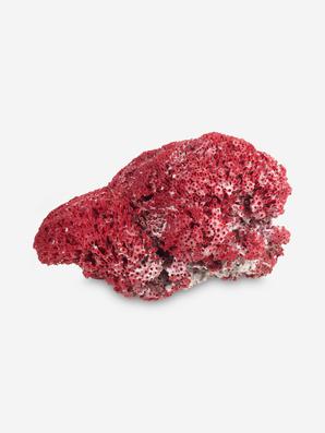 Коралл красный, 12,5х8,1х7,1 см
