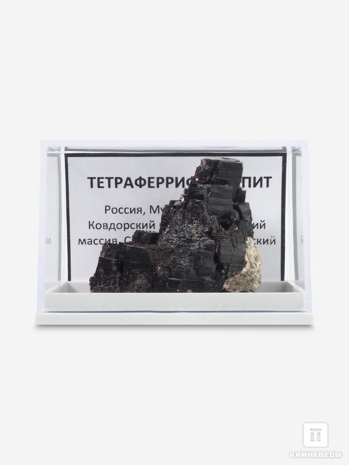 Тетраферрифлогопит, 4х3,5х2,5 см, 10-475/6, фото 2