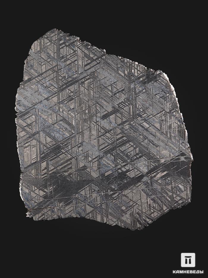 Метеорит Muonionalusta, пластина 13,3х11,7х0,16 см (125 г), 19844, фото 2