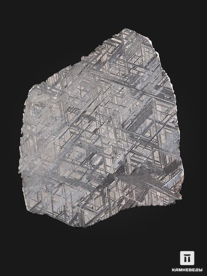 Метеорит Muonionalusta, пластина 13,3х11,7х0,16 см (125 г), 19844, фото 3