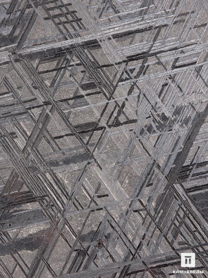 Метеорит Muonionalusta, пластина 13,3х11,7х0,16 см (125 г), 19844, фото 4
