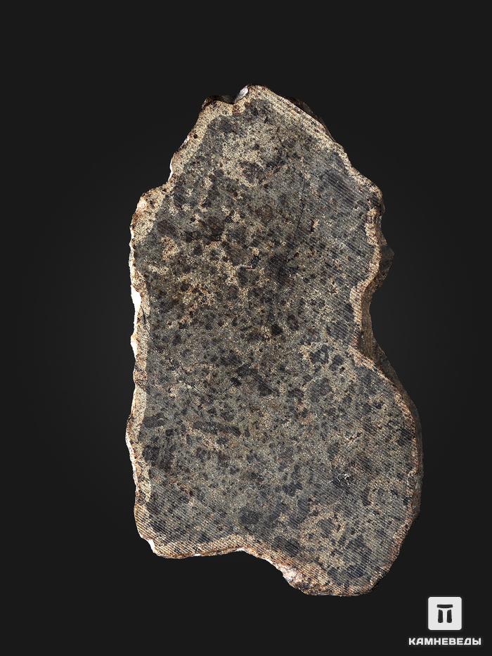 Марсианский метеорит NWA 6963, пластина 4,2х2,4х0,1 см, 32991, фото 5