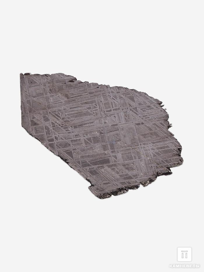 Метеорит Muonionalusta, пластина 7,5х4,7х0,15 см (23-29 г), 32989, фото 3
