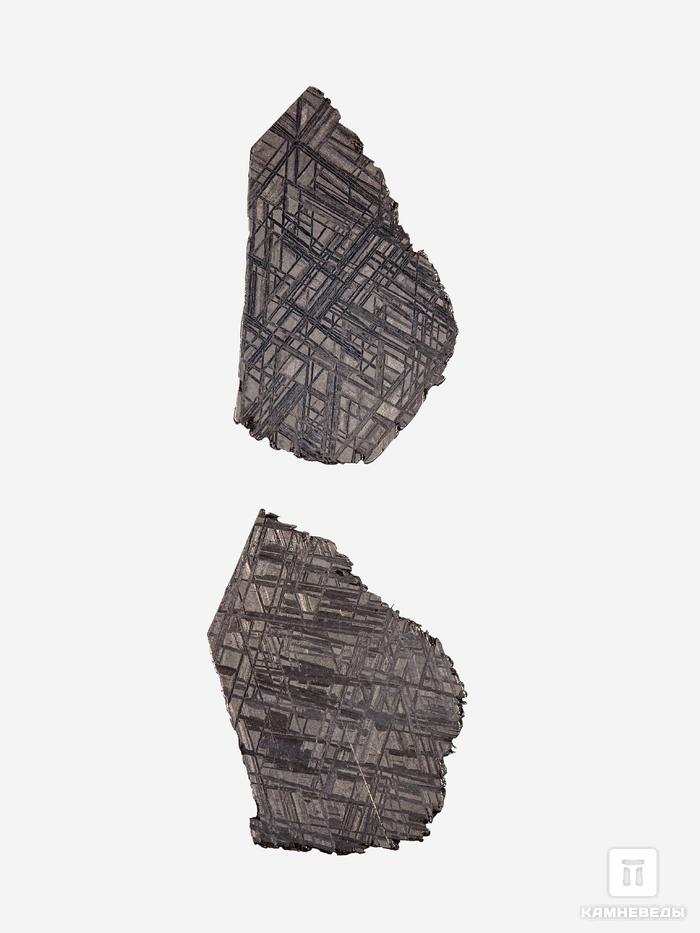 Метеорит Muonionalusta, пластина 7,5х4,7х0,15 см (23-29 г), 32989, фото 1