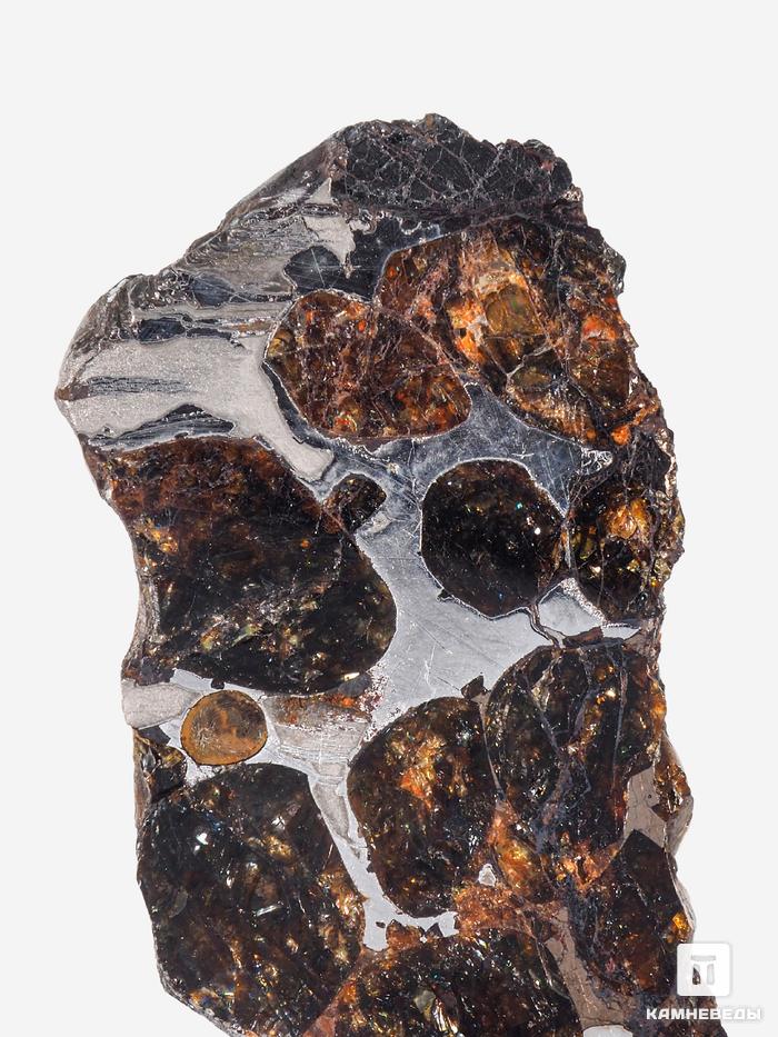 Метеорит Sericho, пластина 3,7х1,7х0,2 см, 32992, фото 4
