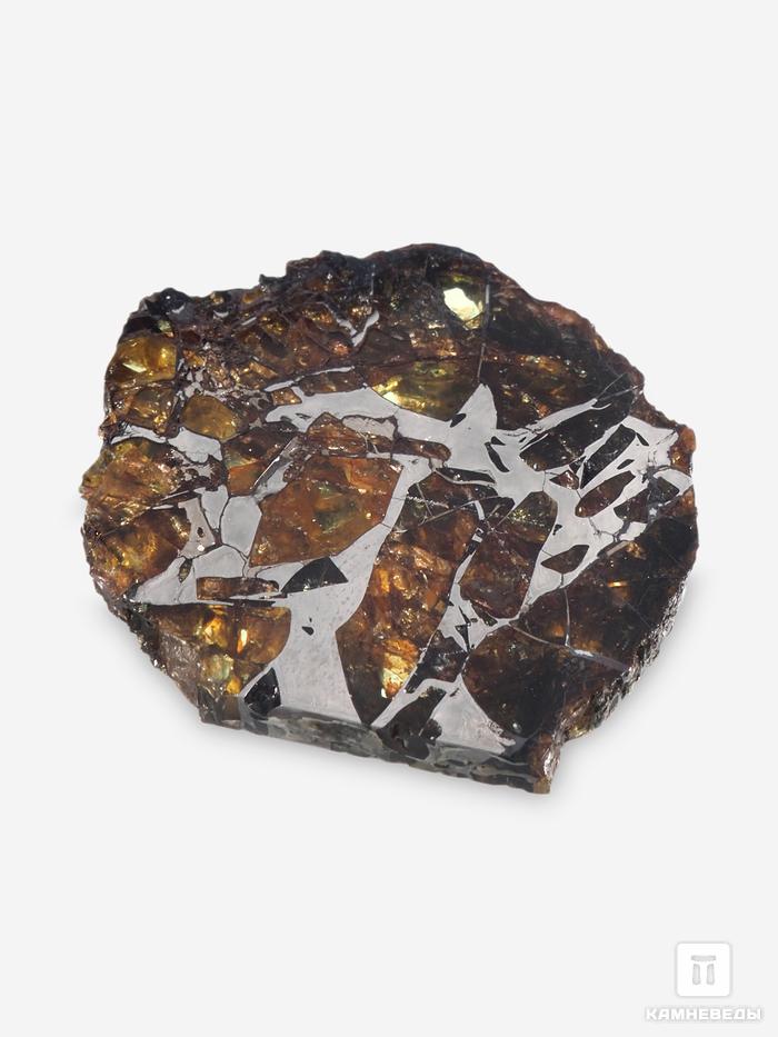 Метеорит Сеймчан с оливином, пластина 2,6х2,1х0,2 см (4-5 г), 9049, фото 3