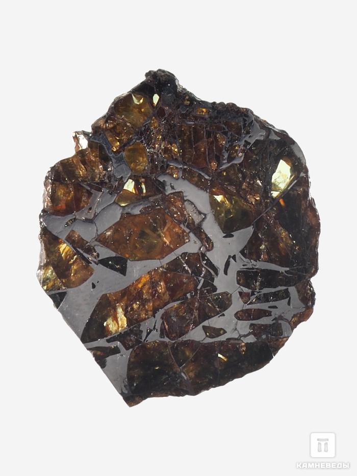 Метеорит Сеймчан с оливином, пластина 2,6х2,1х0,2 см (4-5 г), 9049, фото 4