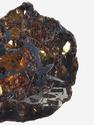 Метеорит Сеймчан с оливином, пластина 2,6х2,1х0,2 см (4-5 г), 9049, фото 5