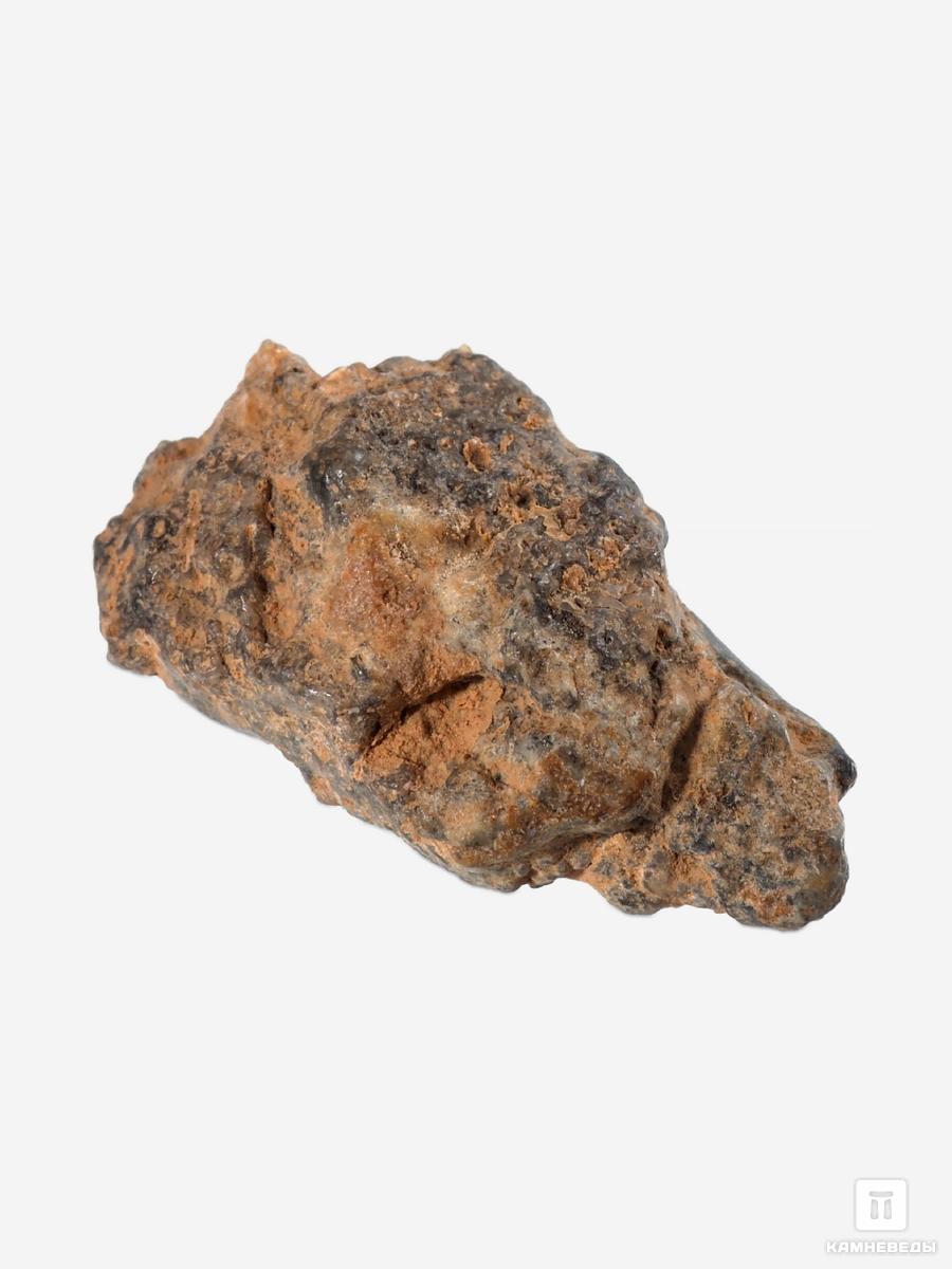 

Лунный метеорит Bechar 003, 1