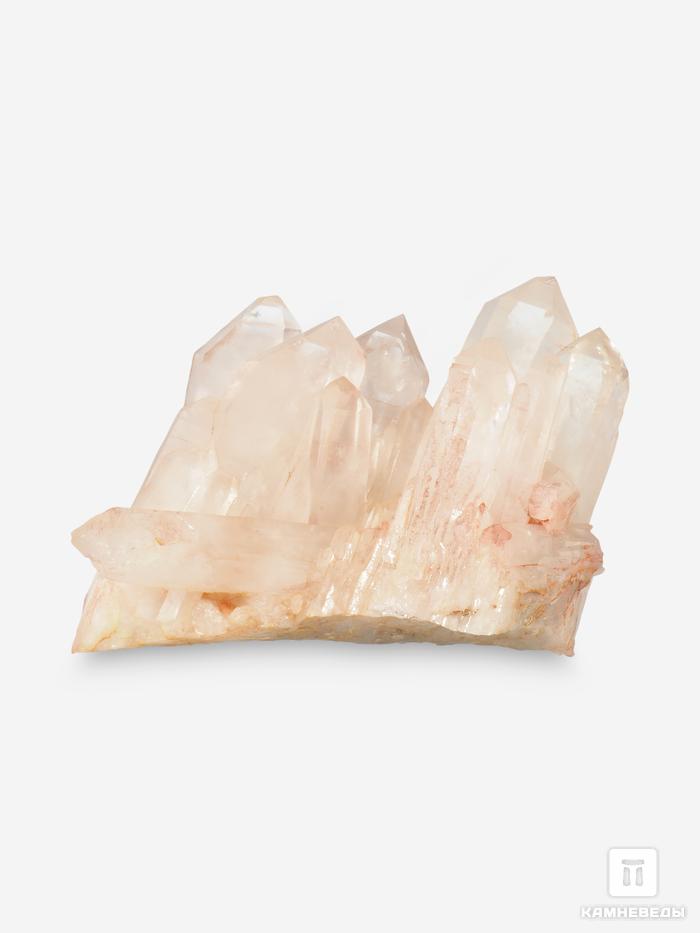 Горный хрусталь (кварц), друза 17х12,6х11,7 см, 8788, фото 3
