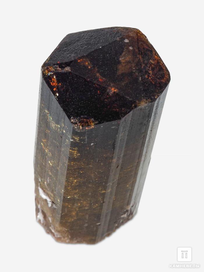 Турмалин полихромный, кристалл 3,8х1,7х1,5 см, 28061, фото 4
