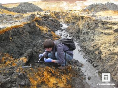 Поиск ископаемых организмов в карьере Еганово. Поиск морских ископаемых организмов в чёрных верхнеюрских глинах.