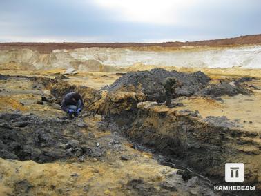 Поиск ископаемых организмов в верхнеюрских глинах