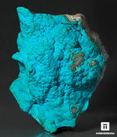 Хризоколла. Малахит, покрытый равномерной коркой хризоколлы.
Музей Камневеды, образец №692