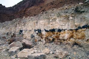 Стена карьера Старицы, черные области сложены минералом - рансьеитом
