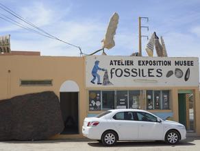 Частный палеонтологический музей Atelier Exposition Musee Fossiles, Эрфуд, Марокко. Вдоль дороги Эрфуд-Риссани расположено большое количество частных палеонтологических музеев. Обычно они совмещены с мастерской и магазином по продаже минералов и окаменелостей.