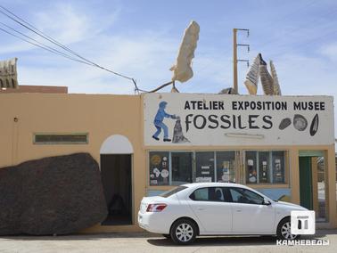 Частный палеонтологический музей Atelier Exposition Musee Fossiles, Эрфуд, Марокко. Вдоль дороги Эрфуд-Риссани расположено большое количество частных палеонтологических музеев. Обычно они совмещены с мастерской и магазином по продаже минералов и окаменелостей.