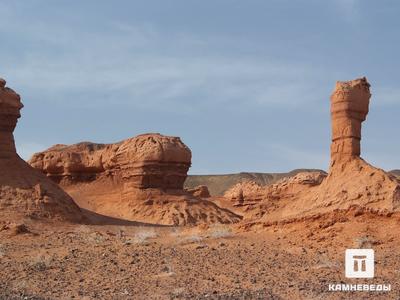 Формы выветривания в каньоне Хермен-Цав. Формы выветривания в каньоне Хермен-Цав (пустыня Гоби, Монголия).