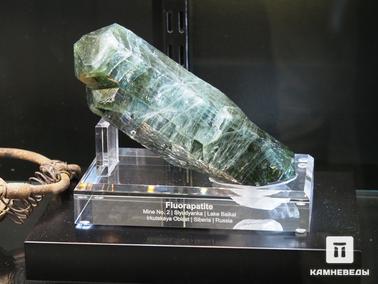 Фторапатит. Образец фторапатита сфотографирован на выставке Mineralientage Munchen 2018 (Мюнхен, Германия)