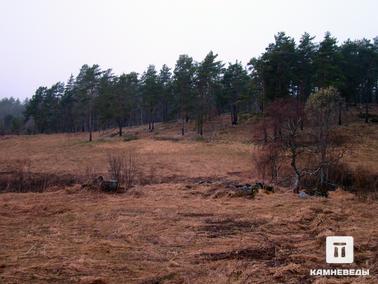 Поднятие среди полей, поросшее лесом, где можно найти сортавалиты
