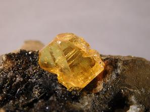 Битум, Сера самородная. Оранжевый кристалл серы, подкрашенный природным битумом. В жеоде, на кристаллах кальцита видны пленки битума.