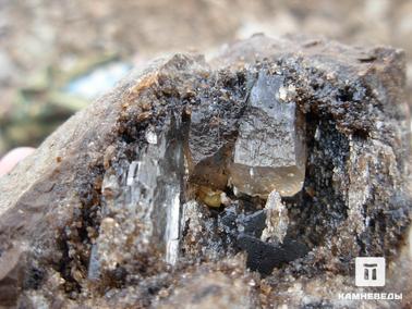 Гипс. Жеода, заполненная кристаллами гипса, прокрашенными природным битумом.
