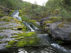 Водопады. Сейдозеро. Каскад небольших водопадов. Восточный берег Сейдозера.