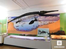 Ихтиозавр. Ихтиозавр и другие экспонаты Ундоровского палеонтологического музея собраны по окрестным берегам. Размер скелета около 3,5 м
