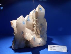 Кварц, Папагоит. Синий папагоит в крупных кристаллах кварца.
Фото сделано на минералогической выставке "Mineralientage München 2012" в Мюнхене.