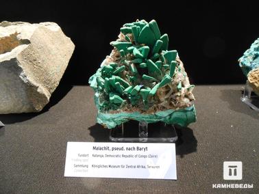 Барит, Малахит. Псевдоморфоза малахита по кристаллам барита.
Фото сделано на минералогической выставке "Mineralientage München 2012" в Мюнхене.