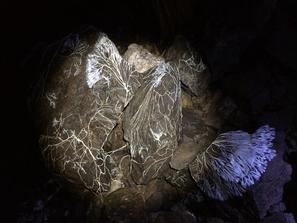 Плесень на кусках кварца, кальцита и вмещающих пород в Петровской штольне (руднике Надежда)