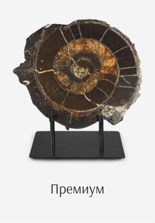 Премиум
